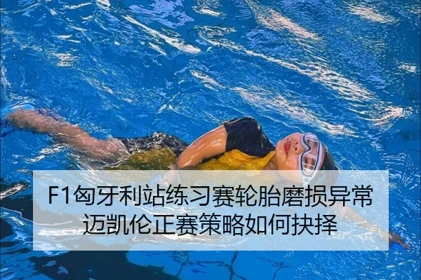 F1匈牙利站练习赛轮胎磨损异常迈凯伦正赛策略如何抉择