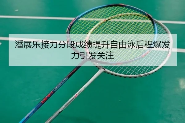 潘展乐接力分段成绩提升自由泳后程爆发力引发关注